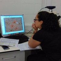 Irene Chacón-de-la-Rocha👩🔬🧠🔬🧬 (@i_chaconrocha) 's Twitter Profile