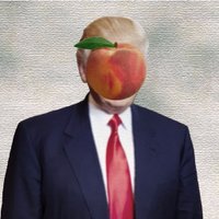 Trumpus Interruptus (@thetrumpplay) 's Twitter Profile