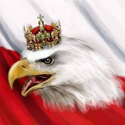 AwCelejewski's profile picture. Wiadomości Rząd i polityka Dziennikarze i eksperci