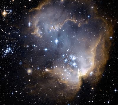 elianzu's profile picture. Noticias México