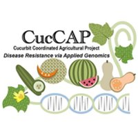 Cucurbit Coordinated Agricultural Project(@Cuccap_website) 's Twitter Profile Photo