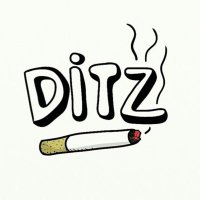 Ditz(@DitzTheBand) 's Twitter Profile Photo