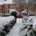 Dianne Harrison - @DingALingGabber - Twitter