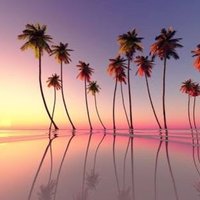 kou ⭐︎ かむさはむにだ! (@koko46491187) 's Twitter Profile Photo