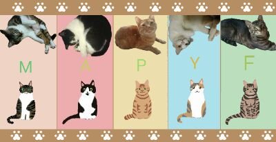 MAPYFさんのプロフィール画像