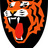 TampereTigers's profile image