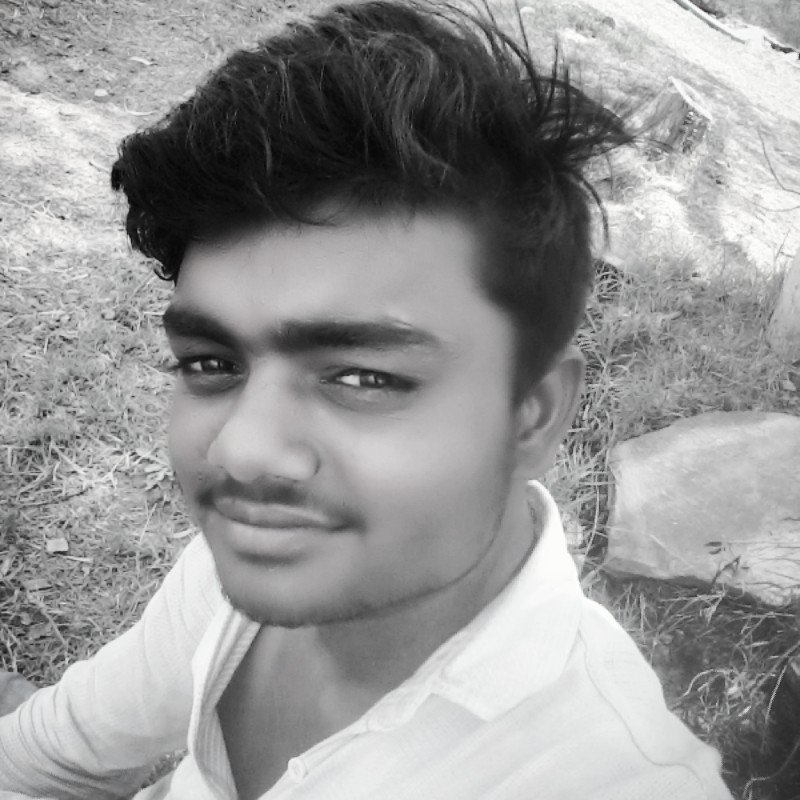 Mohangu79862511's profile picture. 