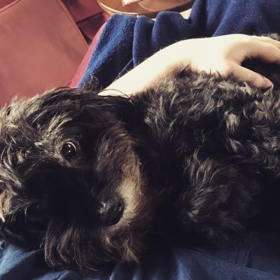 augustusmax's profile picture. views not my own