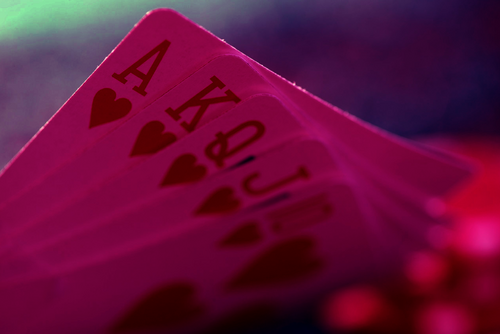 SagamoreBC's profile picture. 