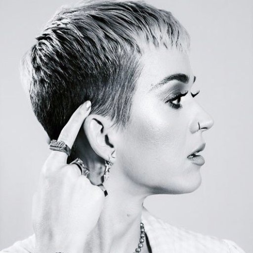 Katy Perry's power flows into Katycats veins