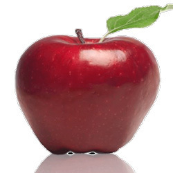 Parent_School's profile picture. Free information for parents.