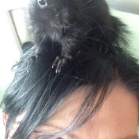 Julia Mick (@justjuliamick) 's Twitter Profile Photo