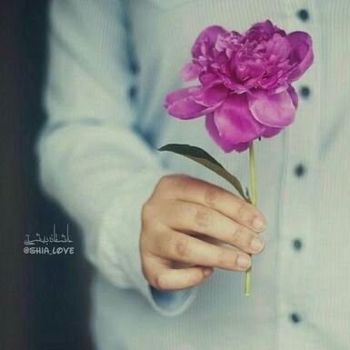 Reza91959207's profile picture. ‏‏‏‏از عناوین جهان، نوکریت ما را بس...