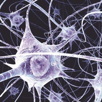 Biomed Sci Edinburgh Profile