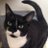 kittycat_kia's profile image
