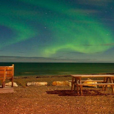 Danpona's profile picture. 