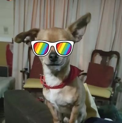 ldobroz11's profile picture. 🤟🤟