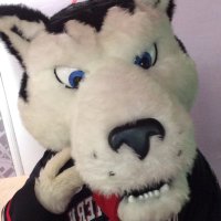 NU Campus Crossroads (@nu_ccrossroads) 's Twitter Profile Photo