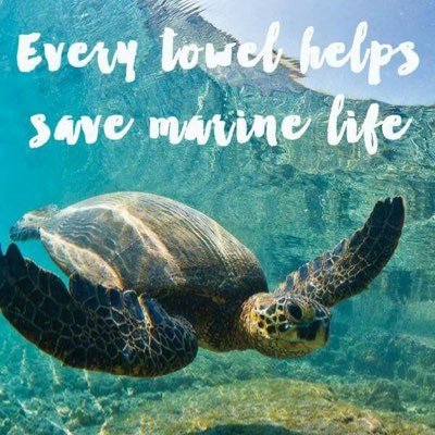 ☀️ SandCloud Ambassador ☀️ 10% of all profits benefit marine life! 🐳 FOLLOW THIS LINK FOR DISCOUNTS AND FREE SHIPPING: https://t.co/lRnQWRvGDJ