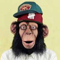 MonoHombre (@monoyorch) 's Twitter Profile