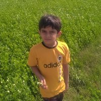 Dr Ghulam Murtaza (@gmrai) 's Twitter Profile