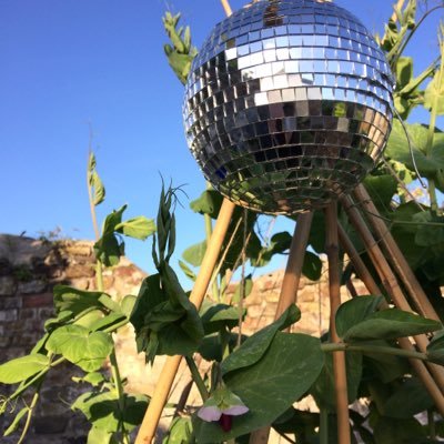 digginginD8's profile picture. 