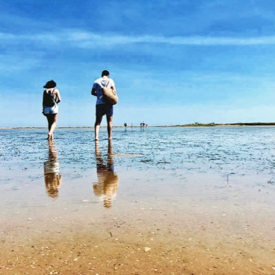 Richiflautico's profile picture. Cinéfilo hasta la médula. 👨🏽‍⚕️. Hiperbolista. Amante de Disney, Hans Zimmer, Howard Shore, James Horner y John Williams. ¿Aceitunas? ¿Dónde?