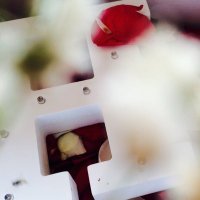 حلا غازي الرشيدي (@hala_ghazi33) Twitter profile photo