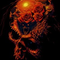 Simon (@simon28483) 's Twitter Profile