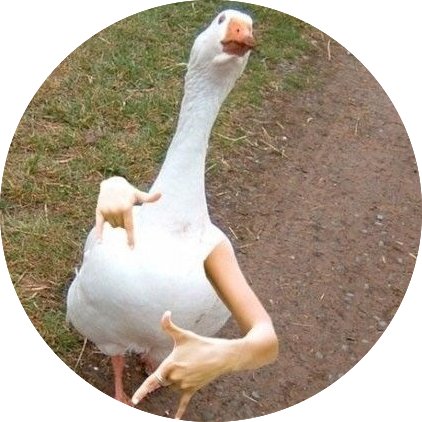 gooseisloose210's profile picture. Boys becoming Men through Sports, Betting, and Booze - Listen to our podcast on sound cloud and read our blog at https://t.co/oXycFigAq4 to get our best bets.