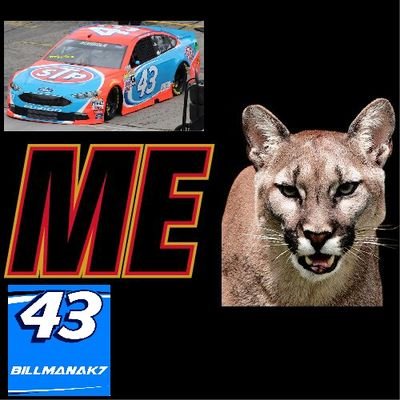 Team runs in NLRL Busch Races, 
Team Owner/Driver's Twitter: @sbillman18 #6 5 wins, 12 top 5s, 21 top 10s as a team Team est. Nov 4,2016 1 (C) with @freaky4fast