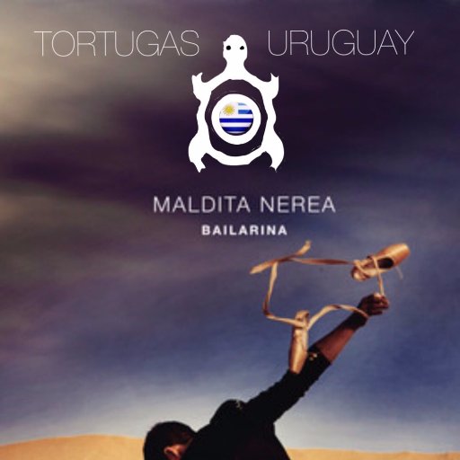 Buscamos Tortugas Uruguayas por el mundo. Queremos que la Buena Energía y la Magia de @MaditaNerea llegue a muchos corazones.