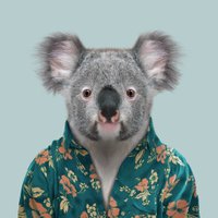 Queensland Australia(@Queensland) 's Twitter Profile Photo