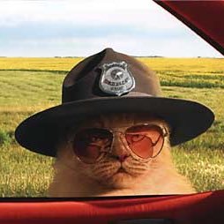 MikeyG1339's profile picture. 