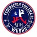 Fed Chilena de Wushu (@fedwushuchile) Twitter profile photo Fed Chilena de Wushu (@fedwushuchile) Twitter profile photo