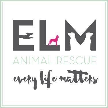 We are a 501c3 organization dedicated to saving the neglected, abused, unwanted, and forgotten dogs and puppies in our community.
https://t.co/W8pEbfBAZs
