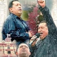 gnesissanchez10's profile picture. 