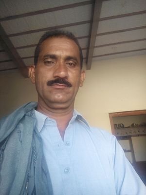 AliHasa35055438's profile picture. Politics