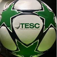 Team Elmhurst SC (@teamelmhurst) 's Twitter Profile