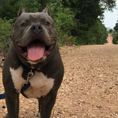 tman646482's profile picture. 