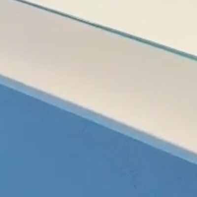 shrimpcocktail7's profile picture. 