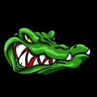 The AtomiGators (@wbhsrobotics) 's Twitter Profile Photo The AtomiGators (@wbhsrobotics) 's Twitter Profile Photo