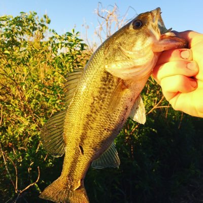 Just a few friends who love to fish 🎣 from saltwater to fresh we fish it all!!  Most fishing done locally! Get the Net Outdoors! #GettheNet #BeattheBanks