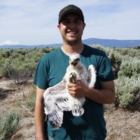 D K (@dkcorvus86) 's Twitter Profile