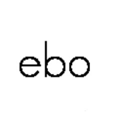 We mind your business. Let EBO help with all the mundane tasks so you can focus on what you do best and grow your business. Overwhelmed with workload?