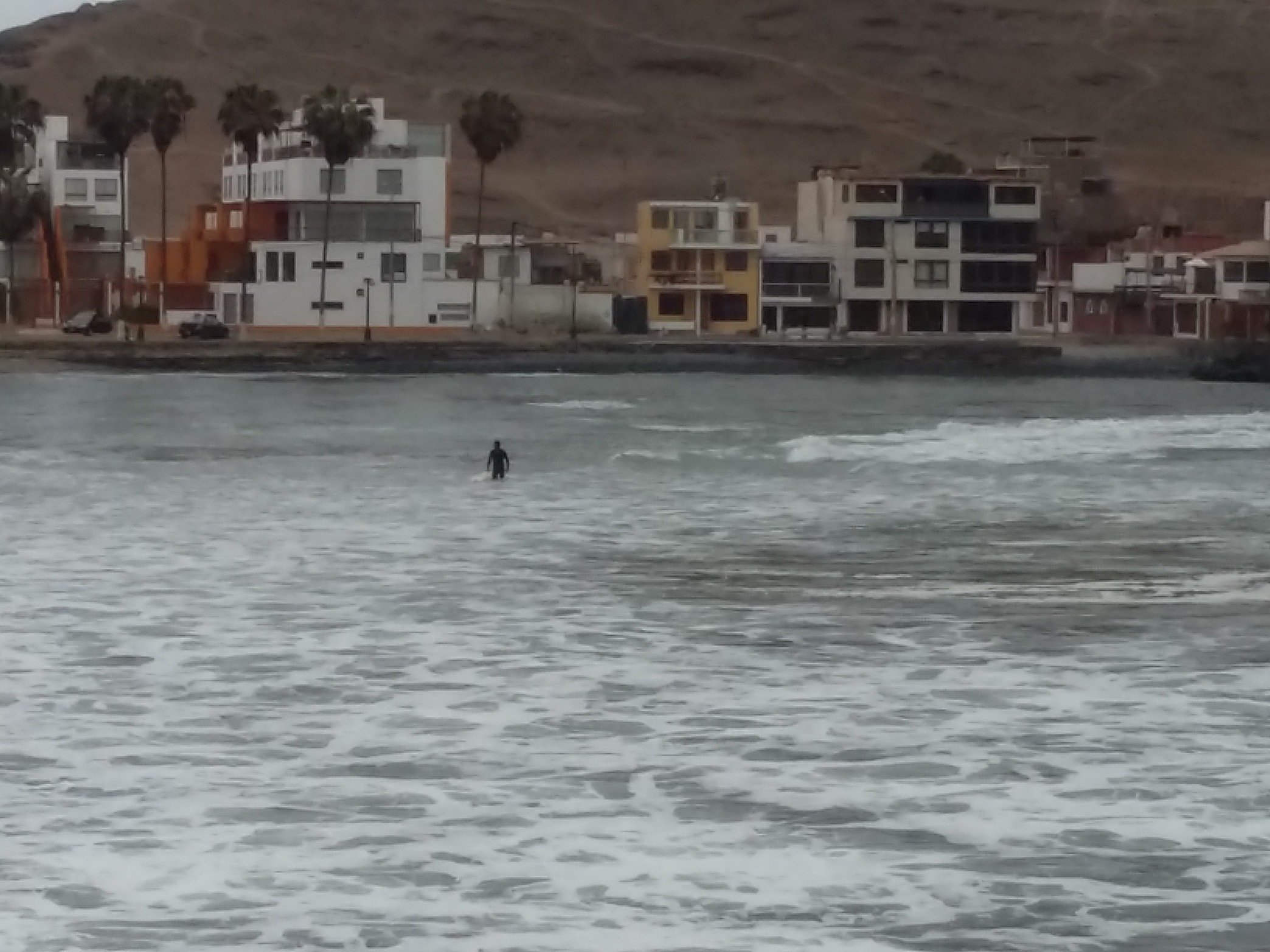 roisvimar's profile picture. 