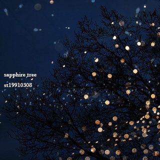 st19910308's profile picture. 눈부시게 빛날 너만의 사파이어 트리. For Yoon Jisung. DO NOT CROP LOGO