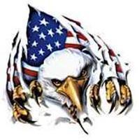 SGKnight's profile picture. Havin Fun!!