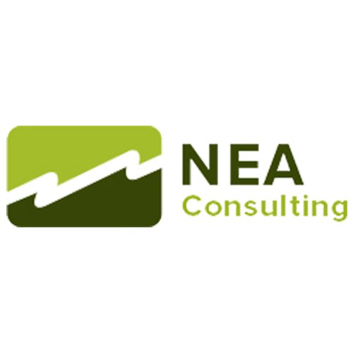consulting_nea's profile picture. We fashion Consulting through staff augmentation.