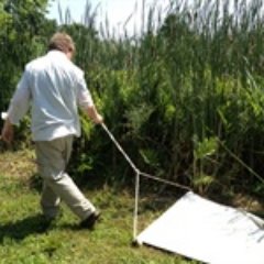 Ecoepidemiology Lab Profile